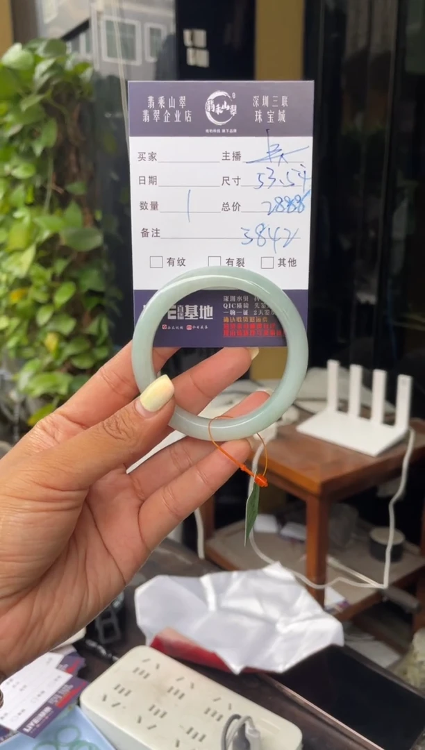 未镶嵌手镯翡翠C 54正圈 5842