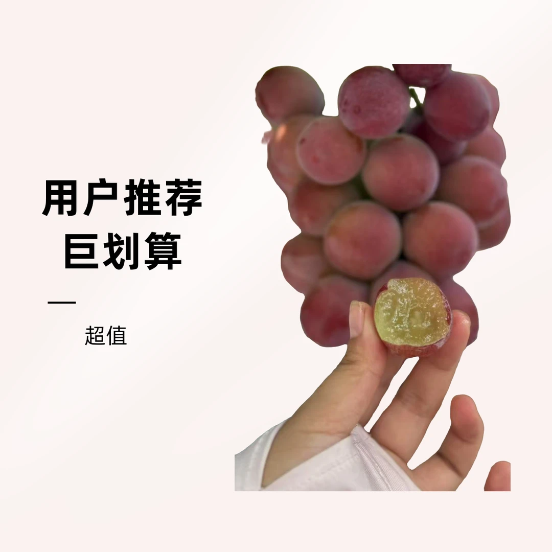 次日达妮娜皇后葡萄新鲜采摘自然成熟大凉山四川省