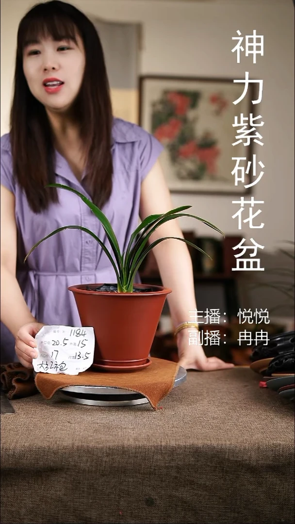 紫砂花盆紫砂花盆1184+z大红袍
