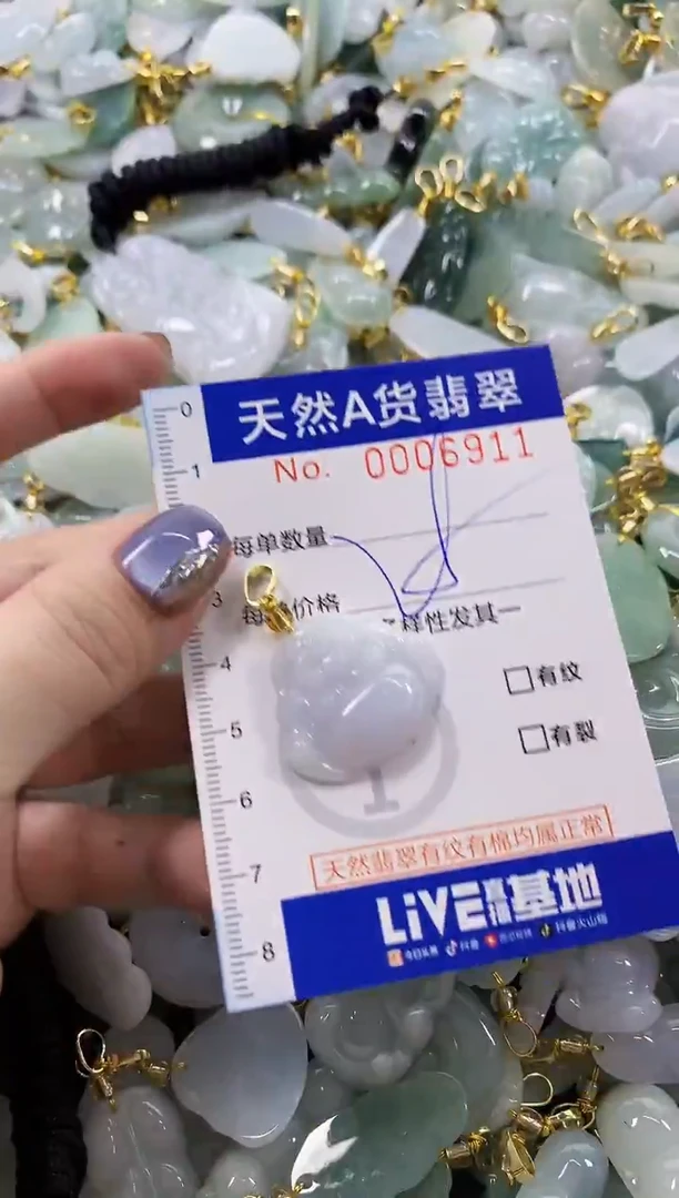 颈饰未镶嵌翡翠天然A货翡翠