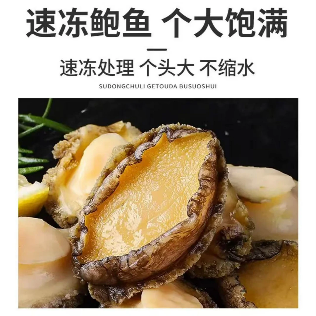 （新鲜冻鲍鱼肉）去壳去牙去内脏速冻锁鲜 鲜嫩美味 顺丰发货