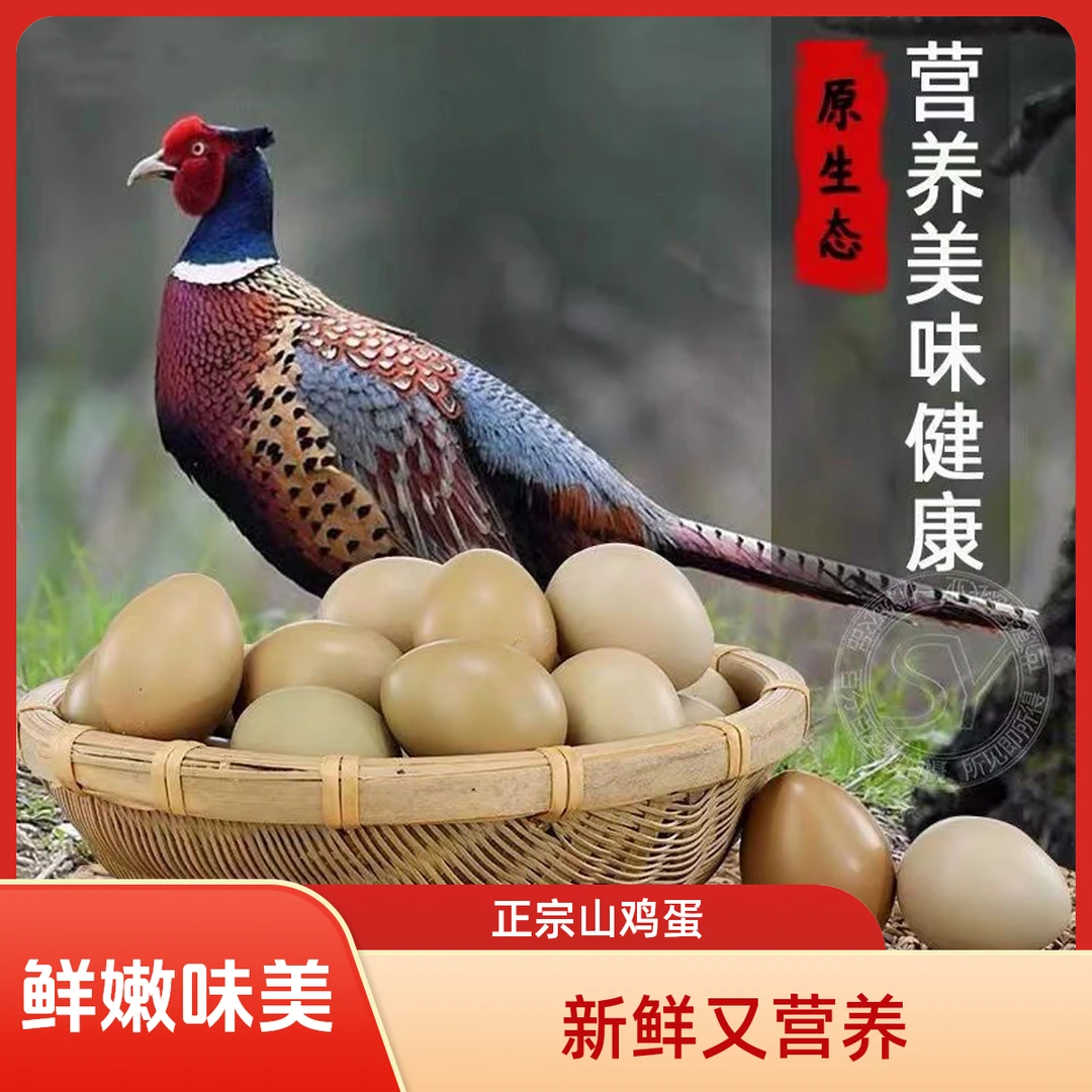 【正宗山鸡蛋】七彩山鸡蛋 鲜鸡蛋 土鸡蛋 柴鸡蛋 野鸡蛋 绿壳蛋