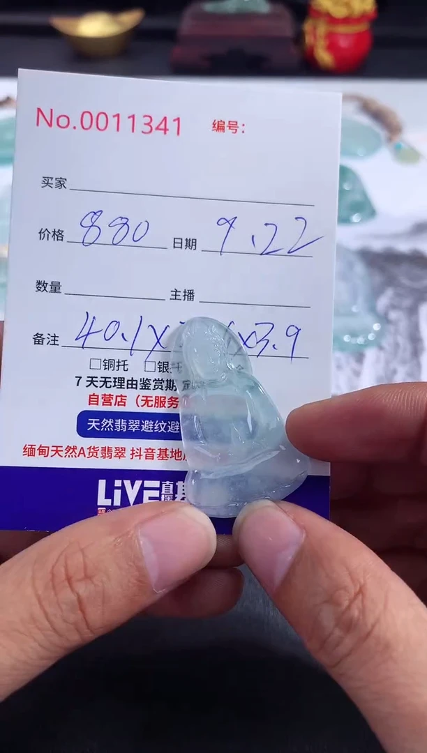 颈饰未镶嵌翡翠素衣