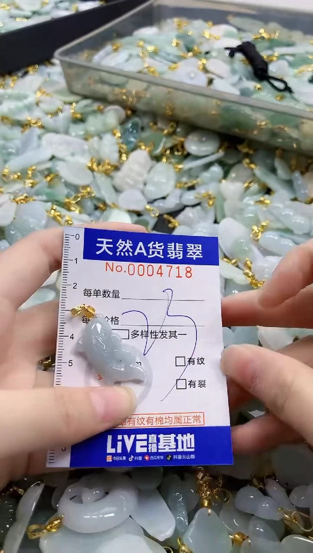 颈饰未镶嵌翡翠天然A货翡翠