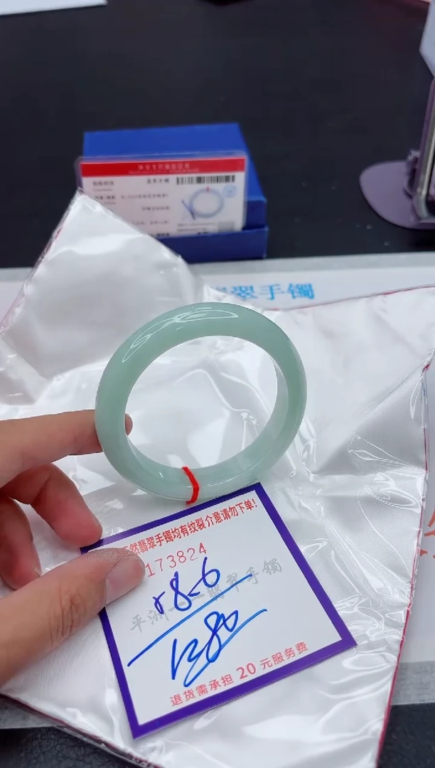未镶嵌手镯翡翠11111
