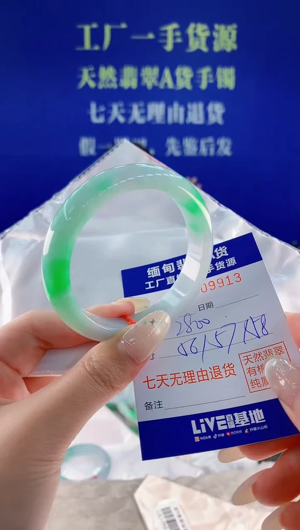 未镶嵌手镯翡翠13