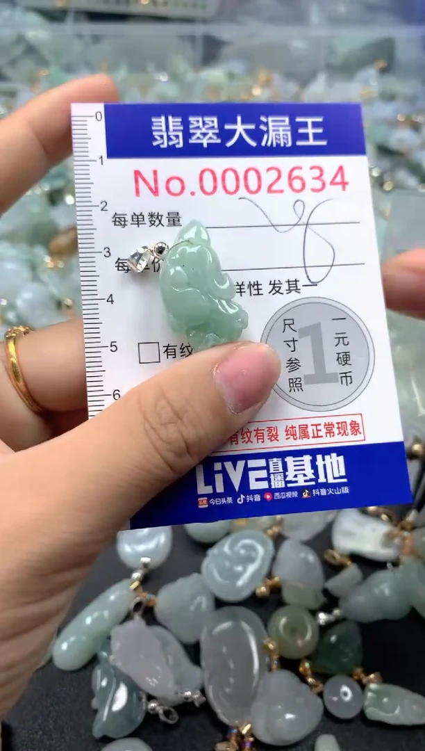 颈饰未镶嵌翡翠2634