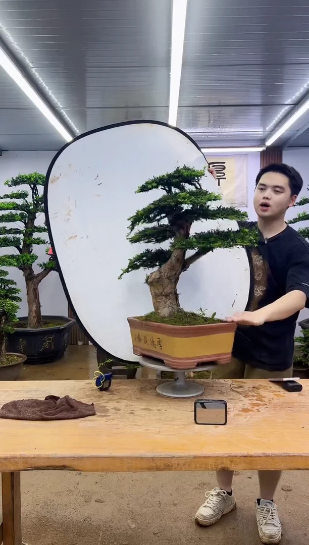 无花朵干*度0000000000000000000000