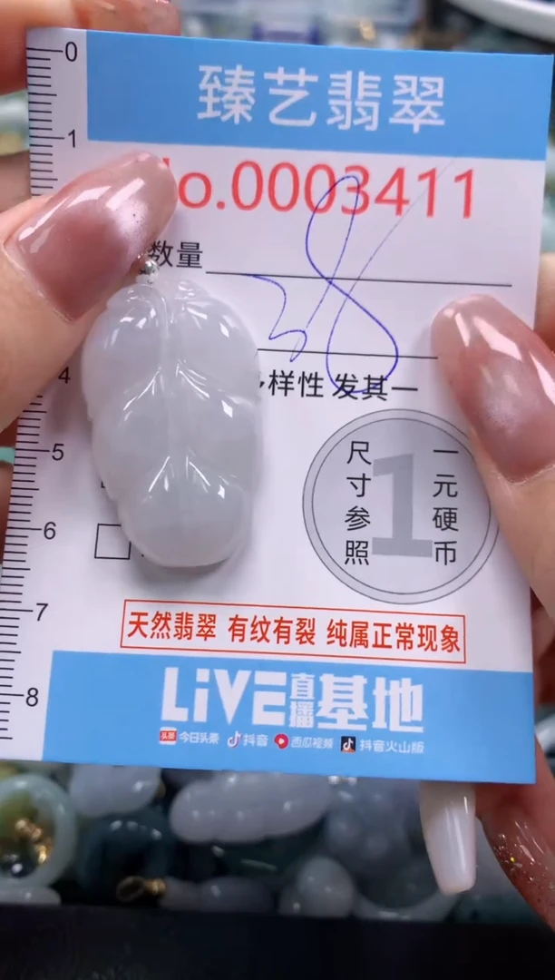 翡翠未镶嵌颈饰含绳0003411