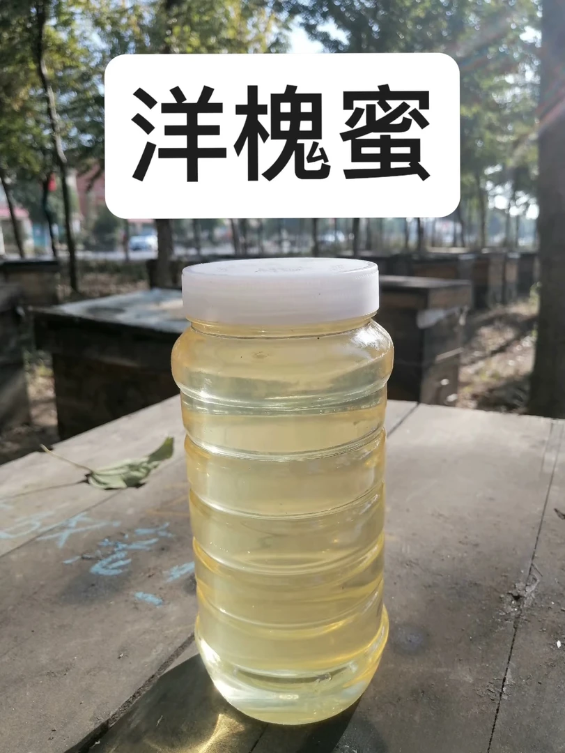 （洋槐蜂蜜）陕西延安产地蜂农自产洋槐花蜜1000克