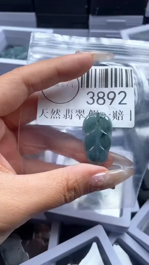 颈饰未镶嵌翡翠3892