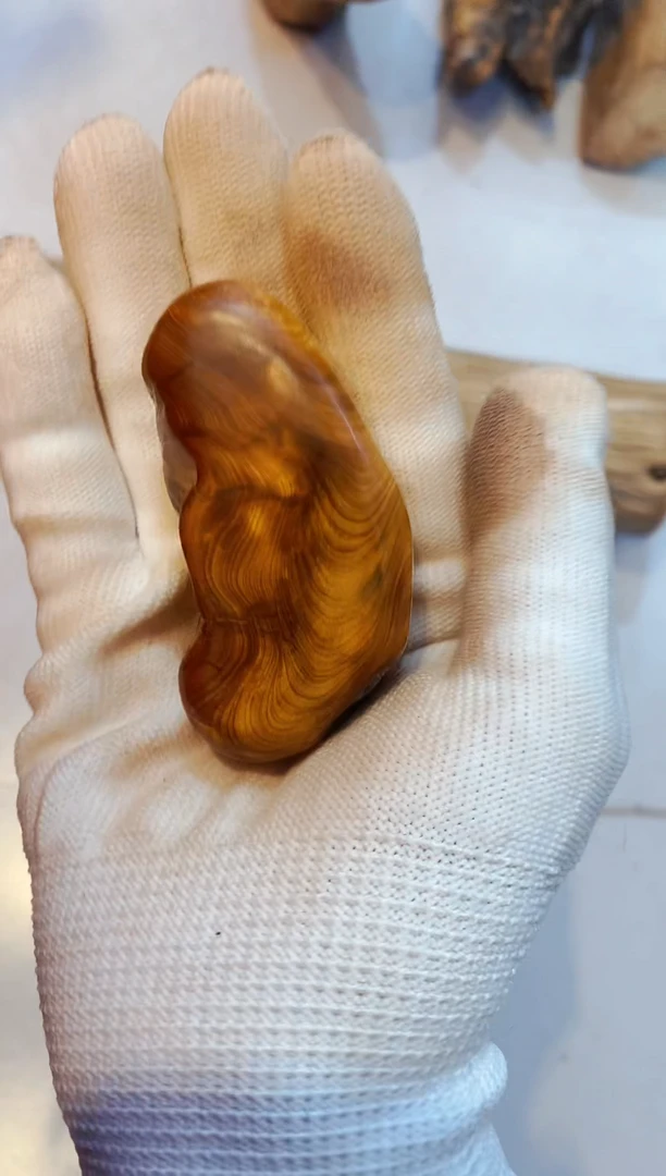 柏木（崖柏）41太行崖柏陈化手把手串