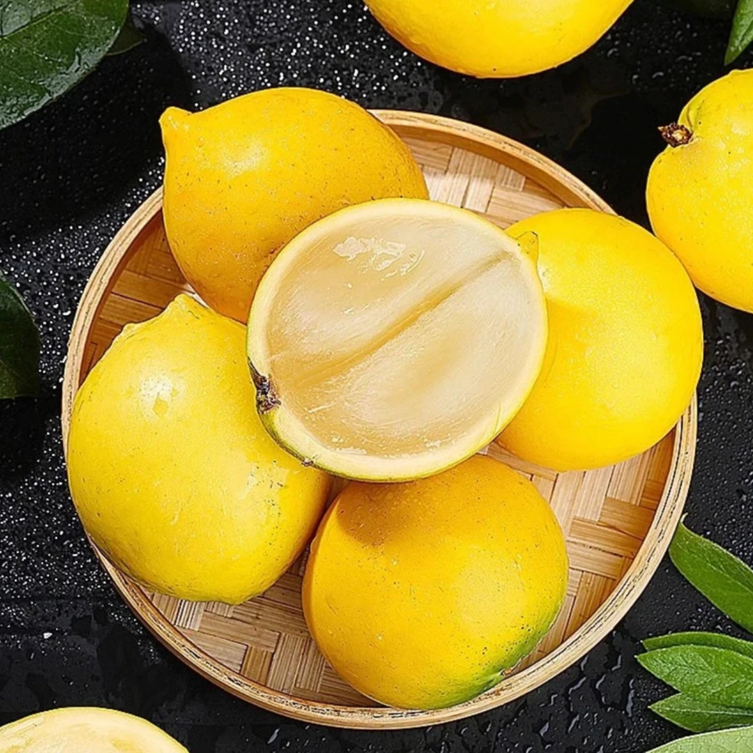 黄晶果种子家庭阳台小院盆栽地栽四季种植易栽易活