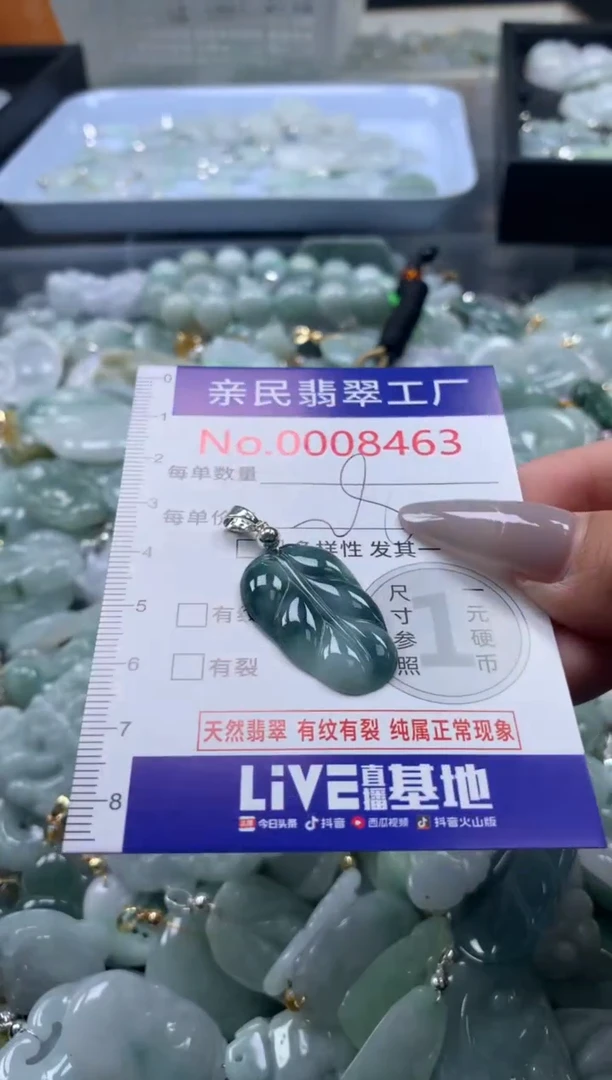 颈饰未镶嵌翡翠8463