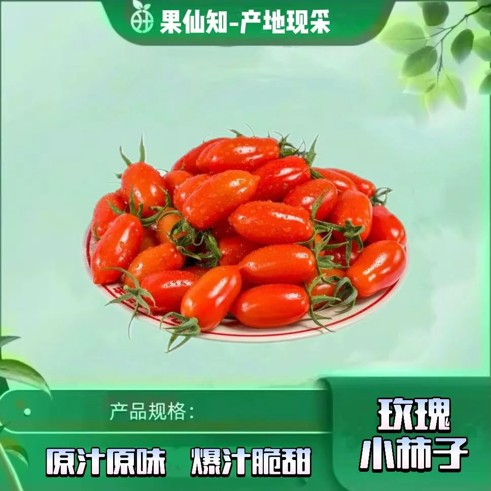 【原汁原味-玫瑰柿子-净重2斤】海南省