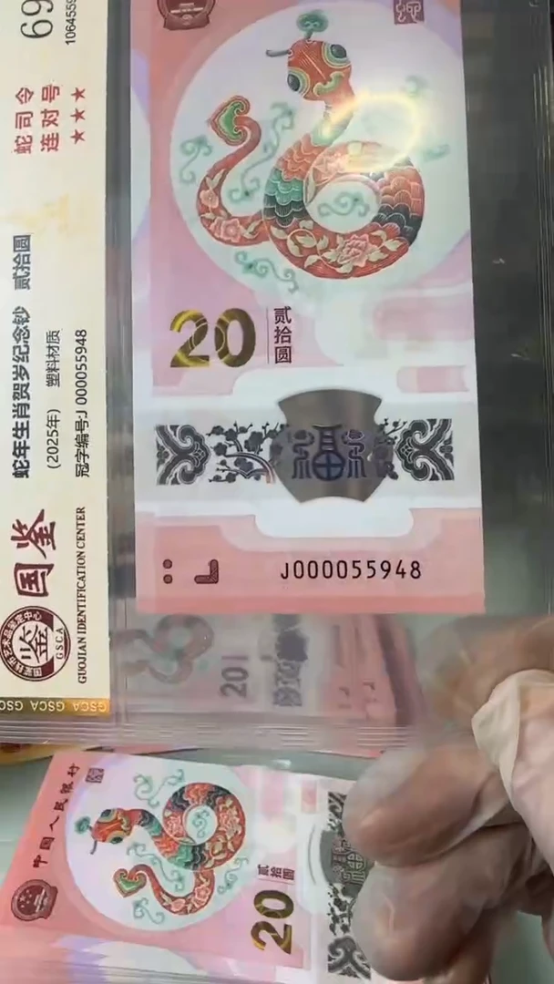 【闪购商品】塑料000055948-蛇钞单张！