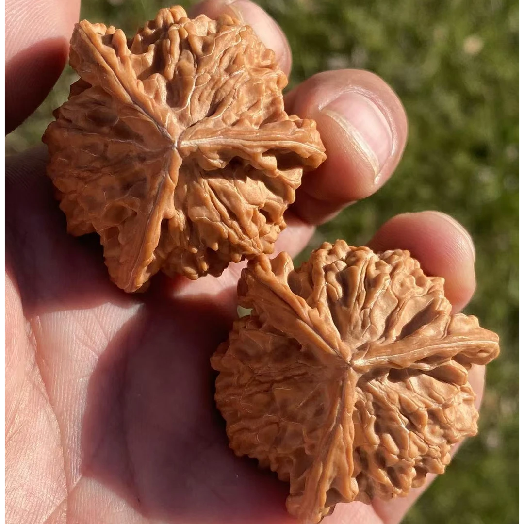 盘山公子帽三棱正奔形xd04文玩核桃