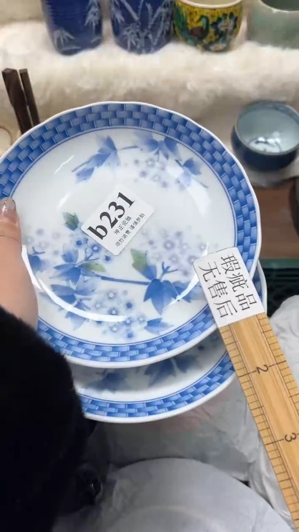 【闪购商品】瓷片          b231