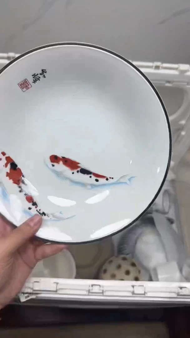 【闪购商品】266回流瓷器默认微瑕，18.8包邮