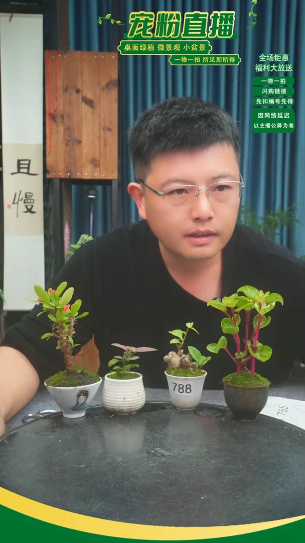 无花朵封***、苔藓微景观788号