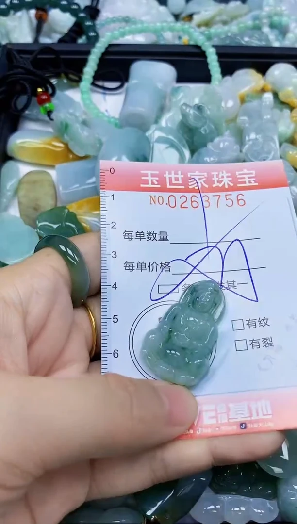 翡翠未镶嵌颈饰闪购0263756多样性发其一