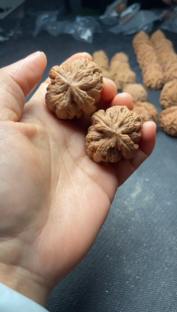 核桃w225   红锦鲤 40尺