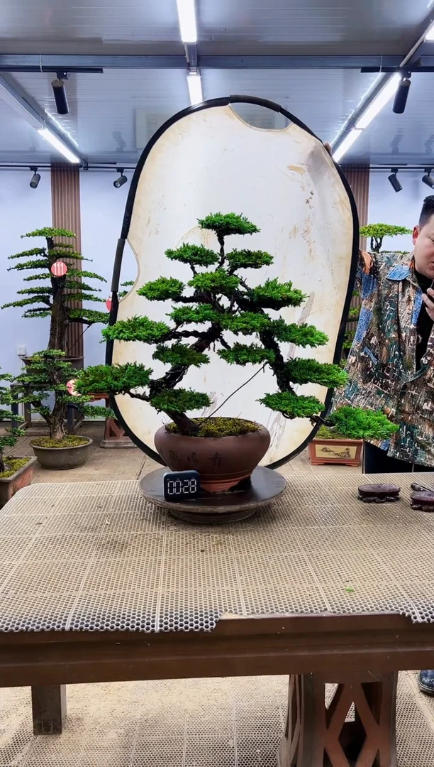 无花朵一物一拍，所见即所得