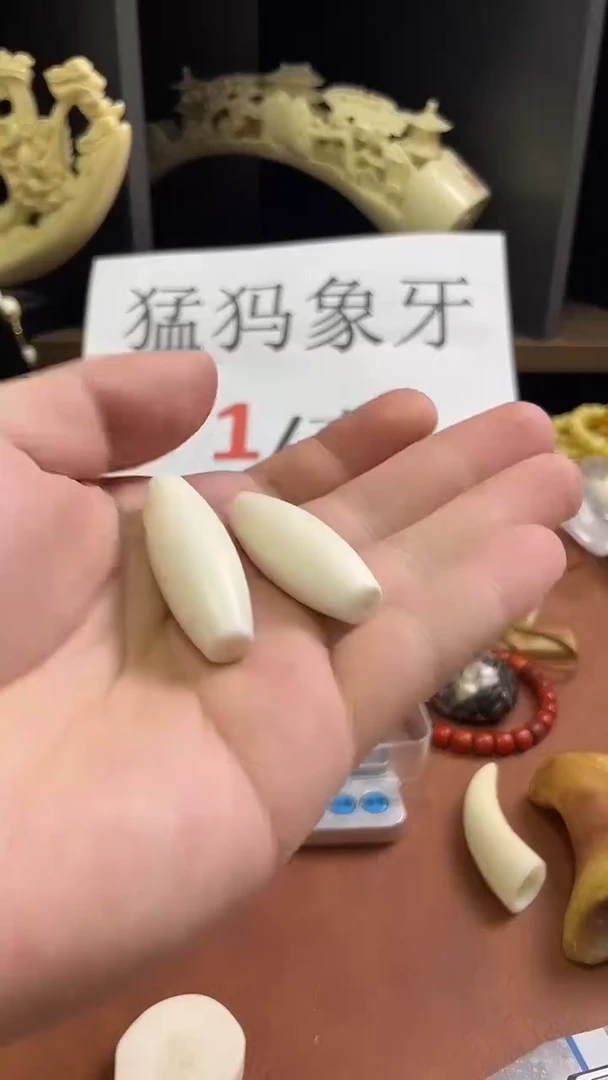 猛犸虬满脑天珠++