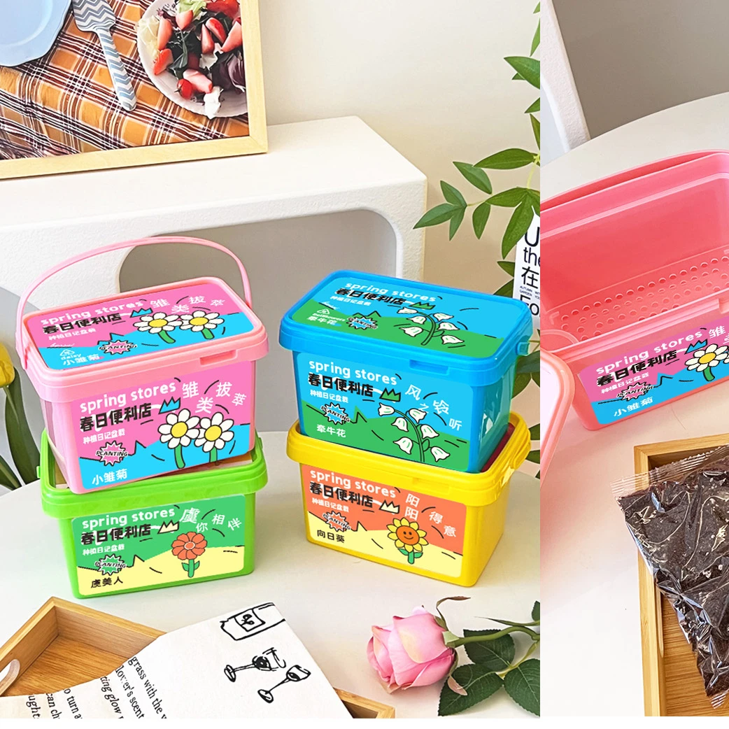 6大桶儿童种植小盆栽幼儿园内果蔬花卉草莓实验植物生长观察套装