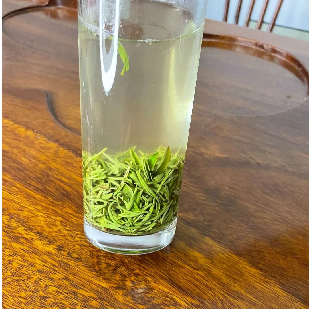 【老旱茶中芽】2025年明前信阳毛尖绿茶浉河港核心产区