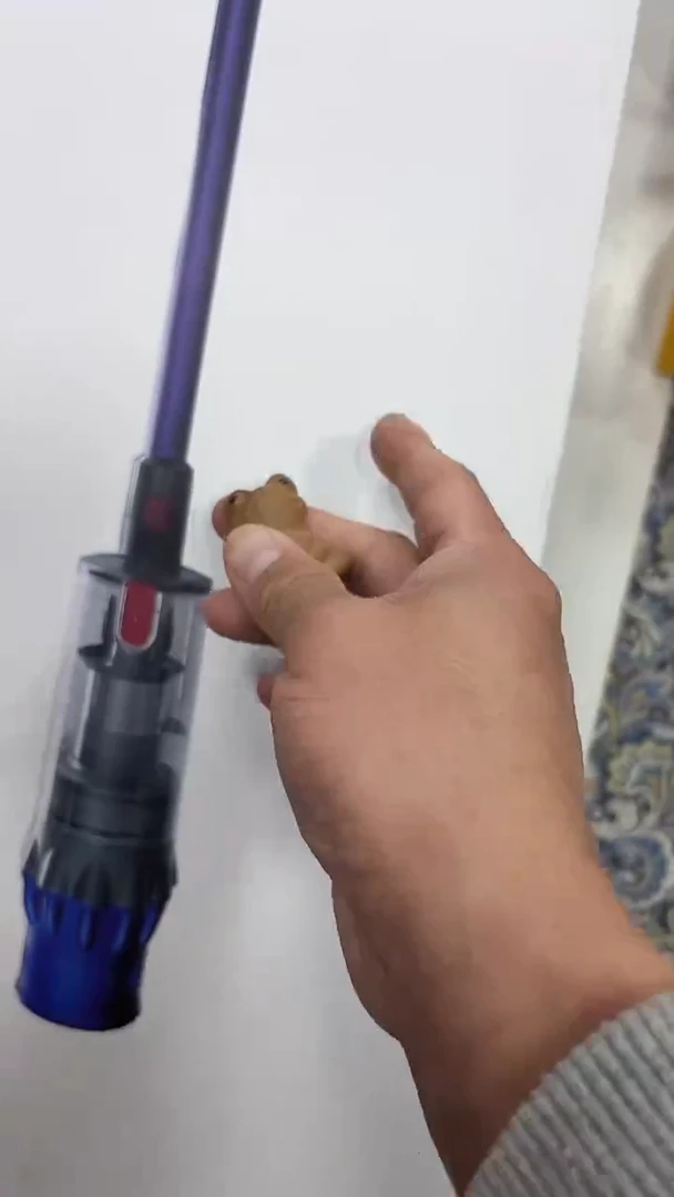 瓷片丫****?名品折扣名品折扣名品折扣@@1