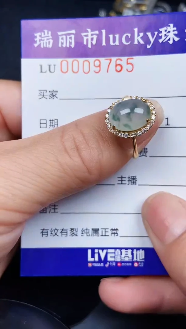 翡翠银S925镶嵌颈饰9765