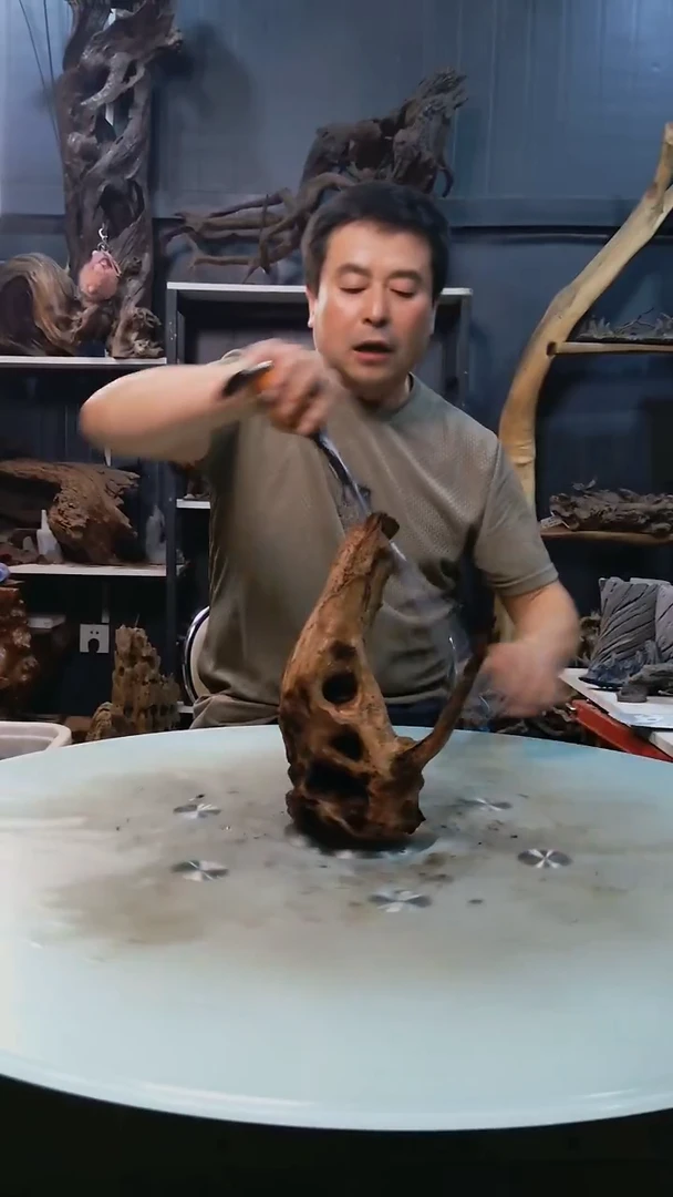 584清香阁清香阁清香阁