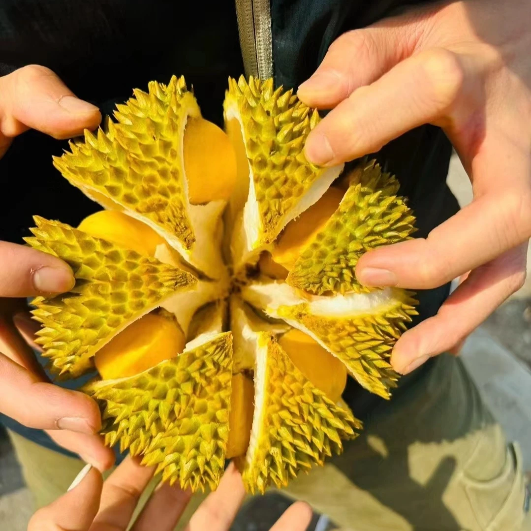 新鲜托曼尼约3-3.5斤88元2个核大猫山王泰国