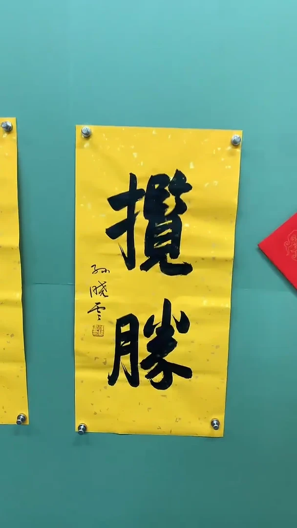 竖款精品书法，揽胜