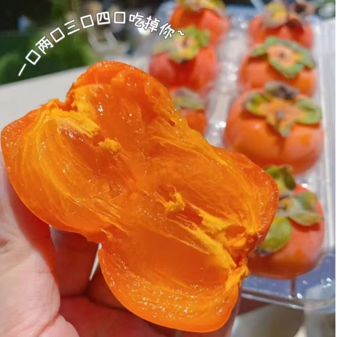 红柿鲜果冰糖心多汁水果超大无籽甜脆广西冰糖心桂林脆柿子甜脆柿