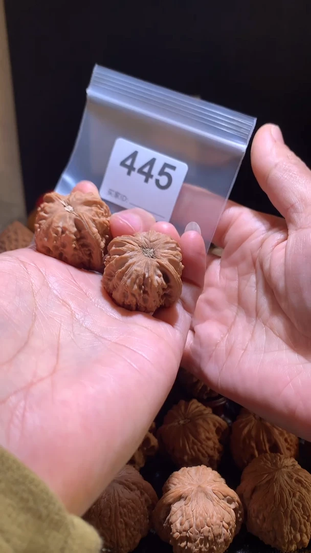 核桃小****！35尺白狮子，别打底影响二次销售不退不换