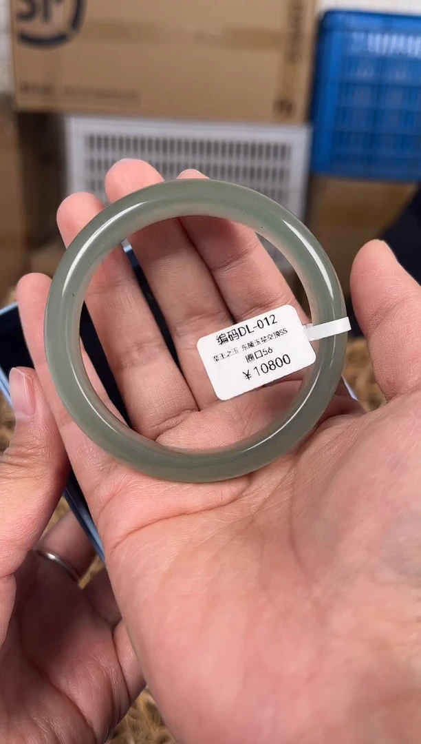 未镶嵌手镯石英质玉DL012