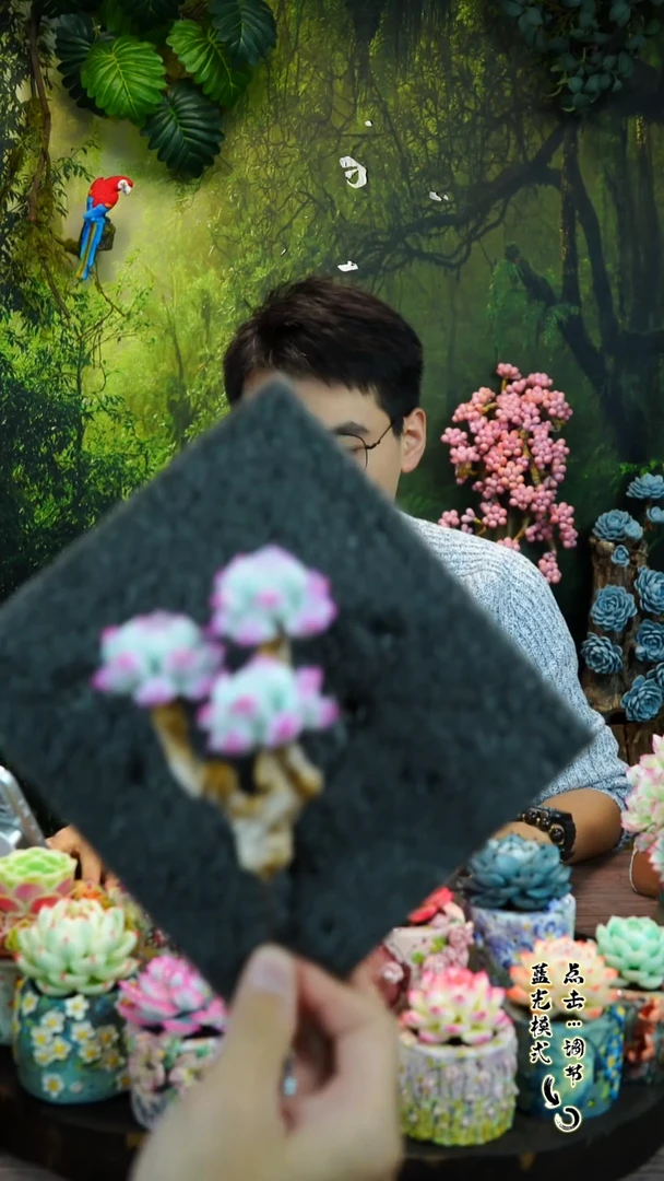 074.。。。。。。。。。。。。