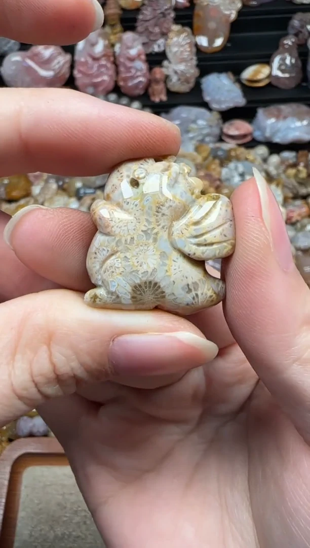 颈饰未镶嵌硅化珊瑚（珊瑚玉）382