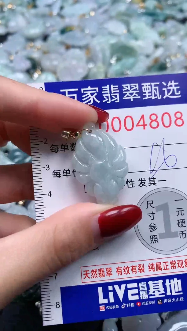 颈饰未镶嵌翡翠4808