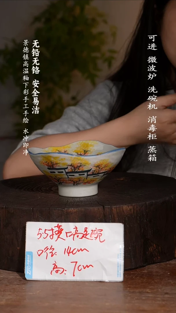 碗陶瓷景德镇高温瓷釉下彩手绘陶瓷