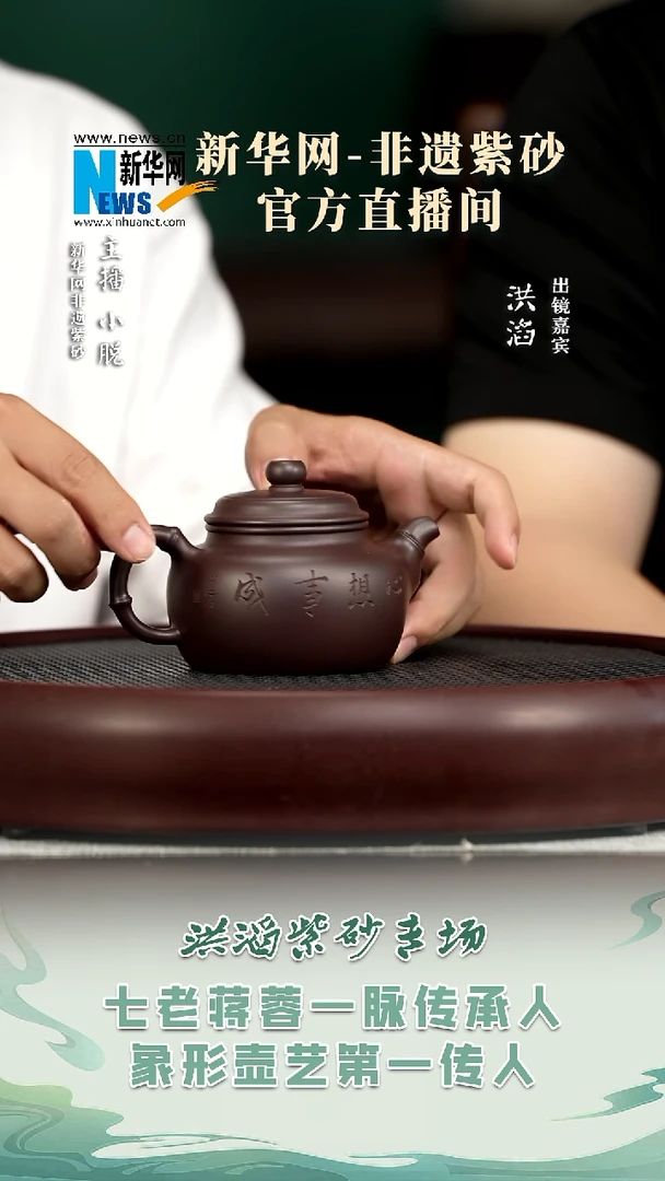 茶壶紫砂HT21 洪滔 大韵德钟紫茄泥240c