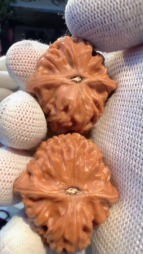 大叶紫檀（黑酸枝木类）004 玉枕元宝37-34