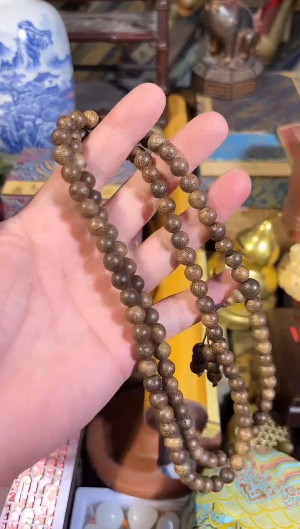 黄杨木1111111111111111111