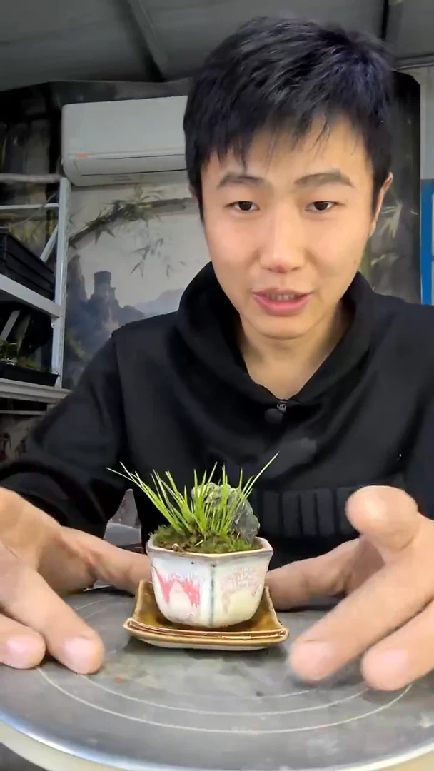 一****²中青园艺一物一拍花153