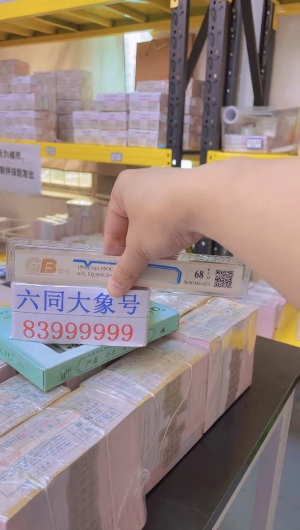 M 01 大象号 N8U3999999