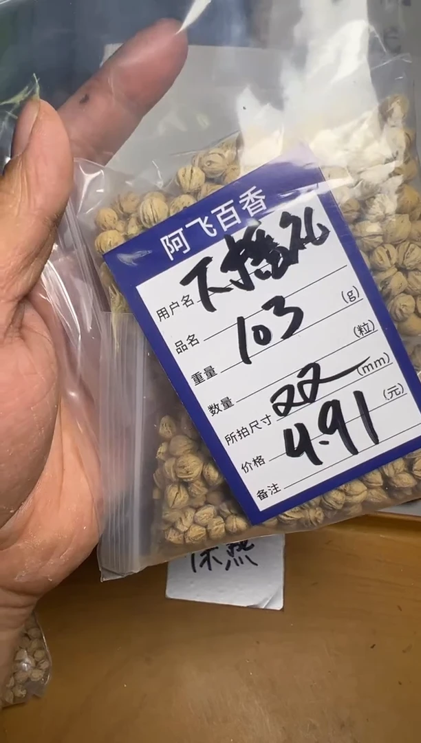 【闪购商品】柏香籽/百香籽吊坠9.91