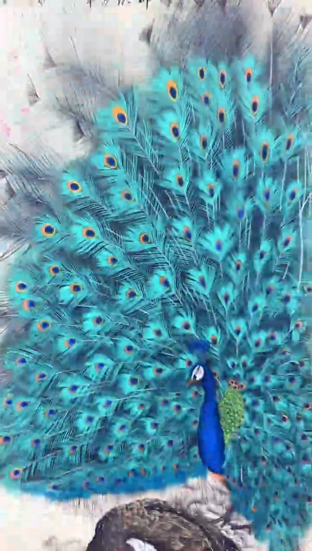 悦白书画年画年画A47