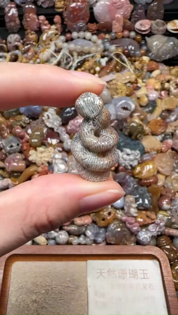 颈饰未镶嵌硅化珊瑚（珊瑚玉）471